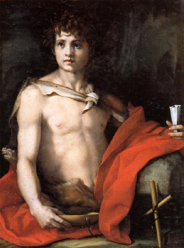 Andrea del Sarto The Young St.John Sweden oil painting art